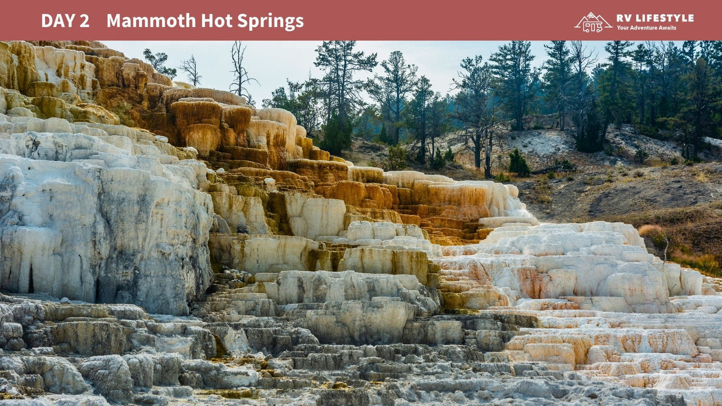 Yellowstone National Park RV Adventure Guide