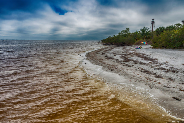 Florida Adventure Guide Bundle (Gulf Coast, Atlantic Coast, & Keys)