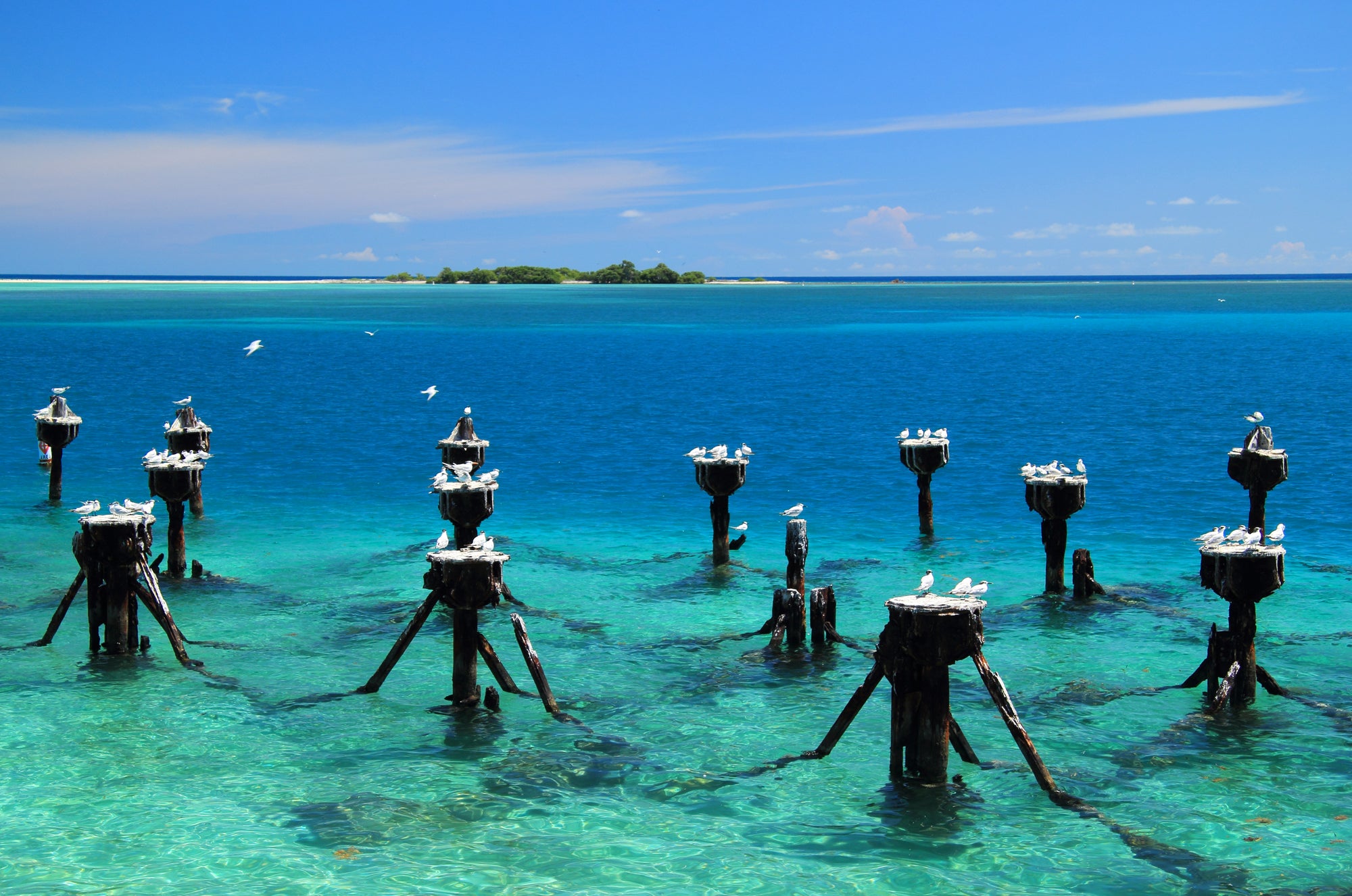 Florida Adventure Guide Bundle (Gulf Coast, Atlantic Coast, & Keys)